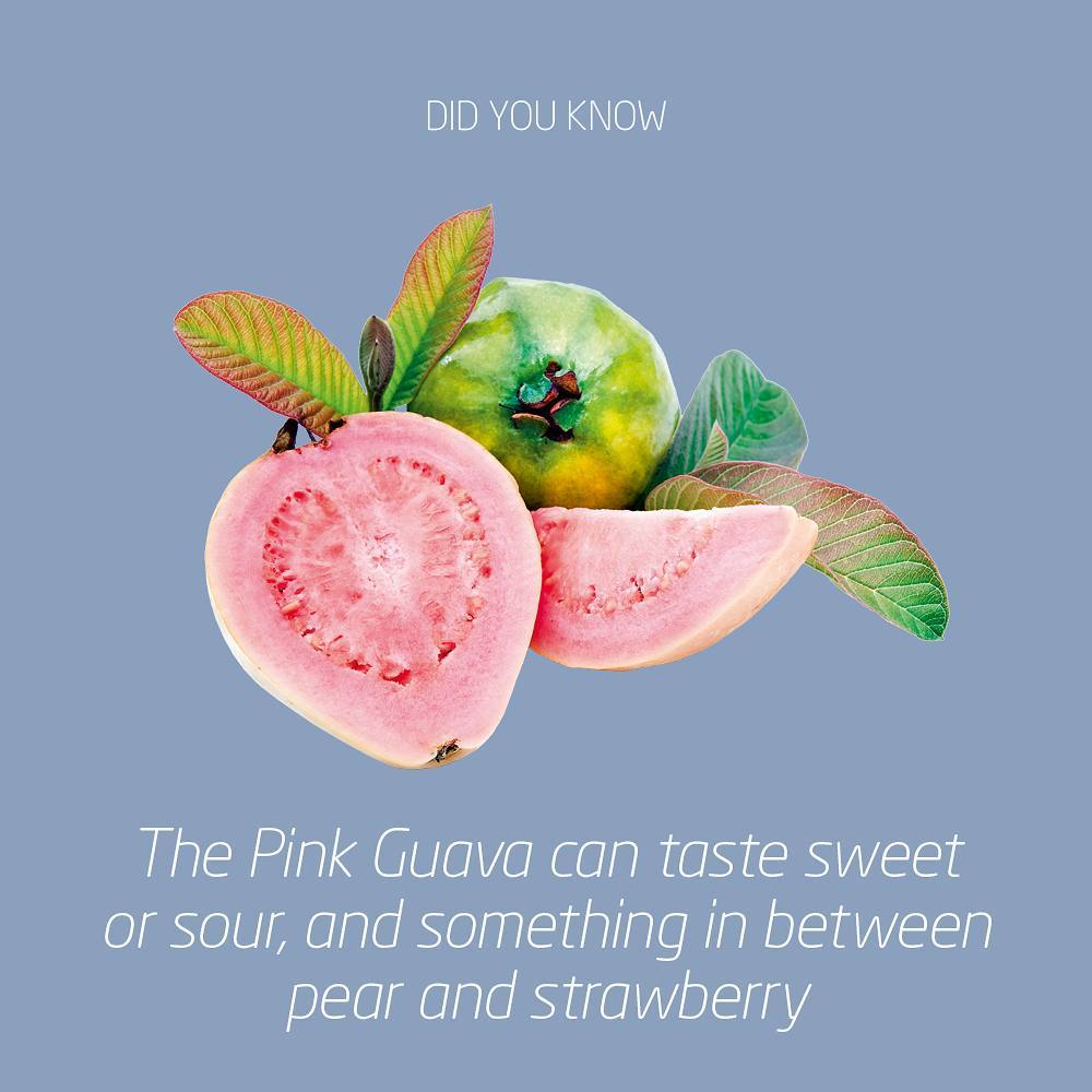Meet Pink Guava - the fruit that can’t decide if it is sweet or sour - another treasure from our Latino collection. #whenspeedandtastematter #yournordicflavourhouse #natuREimagined #nordicbynature #strawberry #scandinavian #nordic #flavour #flavor #winlab #einarwillumsen #instagood #nature #statement #branding #latinflavours #taste #tasty #delicious