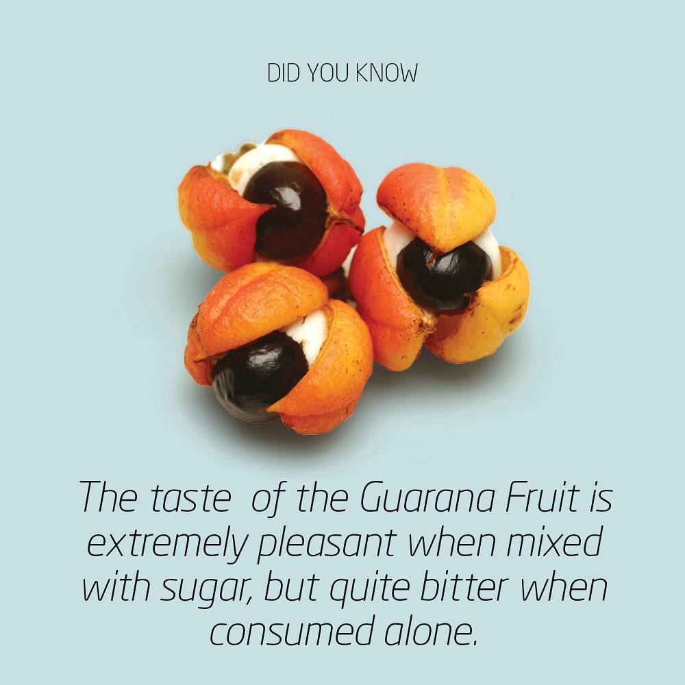This is the Guarana fruit - bitter by nature, but easily turned sweet and tastefull - another treasure from our Latino collection. . . . #whenspeedandtastematter #yournordicflavourhouse #natuREimagined #nordicbynature #scandinavian #nordic #flavour #flavor #winlab #einarwillumsen #instagood #nature #statement #branding #latinflavours #taste #tasty #delicious