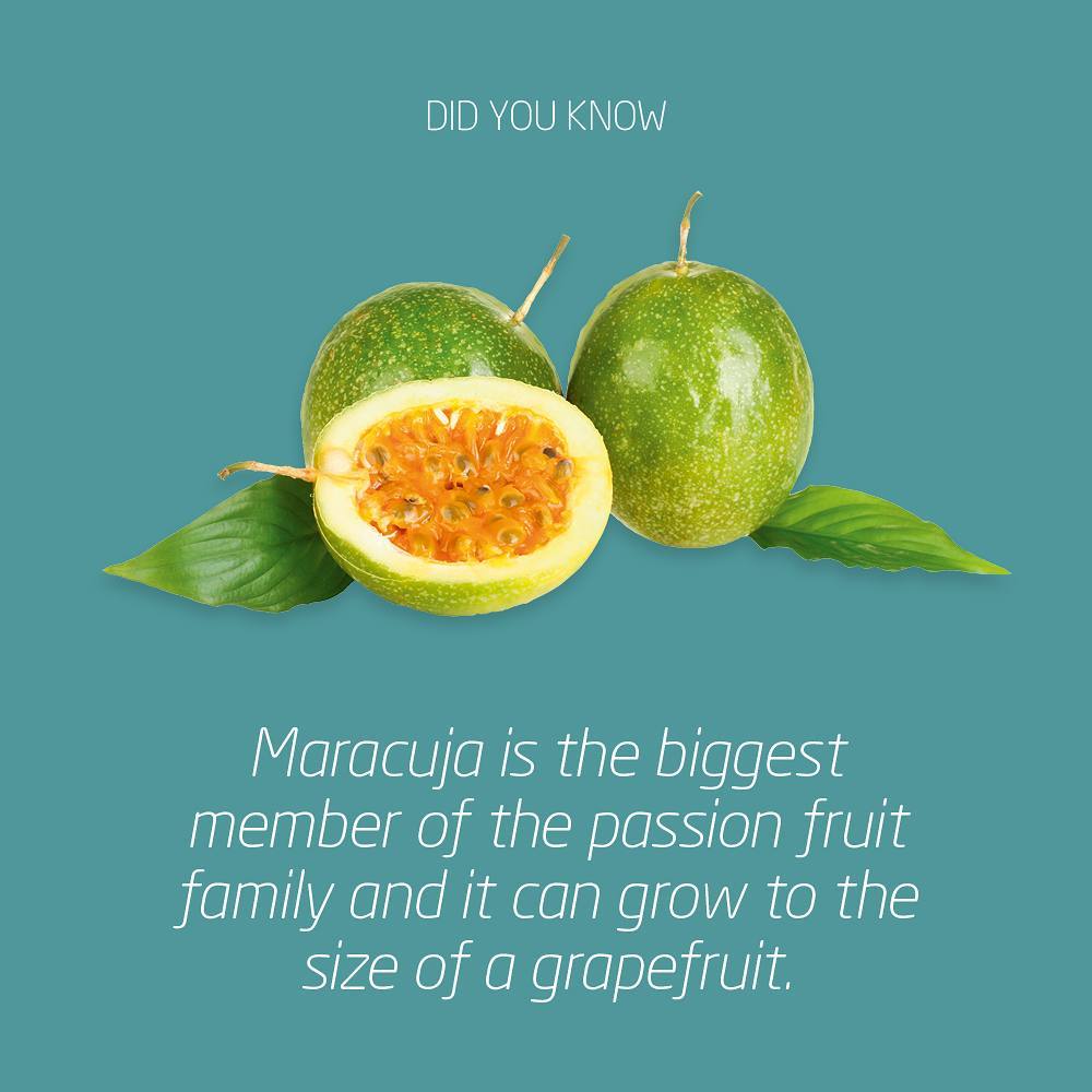 This is the Maracuja - big passion bundled into a delicious tasting fruit - another treasure from our Latino collection.#whenspeedandtastematter #yournordicflavourhouse #natuREimagined #nordicbynature #scandinavian #nordic #flavour #flavor #winlab #einarwillumsen #instagood #nature #statement #branding #latinflavours #taste #tasty #delicious