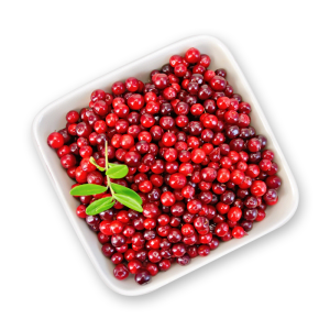 Tundra Cowberry