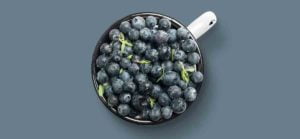 Actic blueberry