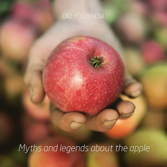 Did you know…Myths and legends about the apple

1) Isaac Newton is said to have been inspired to formulate the law of universal gravitation after he was hit on the head by an apple falling from a tree. As it took him almost twenty years to develop his theory in detail, it is questionable what role the apple really played.

2) In art and literature, the apple has often symbolised forbidden fruit such as that eaten by Adam and Eve in the Garden of Eden. However, although a popular story it is not recorded anywhere in the Bible that it was an apple that was their downfall.

3) In Nordic mythology the goddess Idun shared her ”apples of youth” with the Norse gods so that they would never age. Although apples are known to have several health giving properties, it is unlikely they hold the secret to eternal youth.  #whenspeedandtastematter #yournordicflavourhouse #natuREimagined #nordicbynature #tasty #taste #flavour #flavor #hygge #nordic #scandinavian #didyouknow  #whenartandsciencemeet #applewisdom