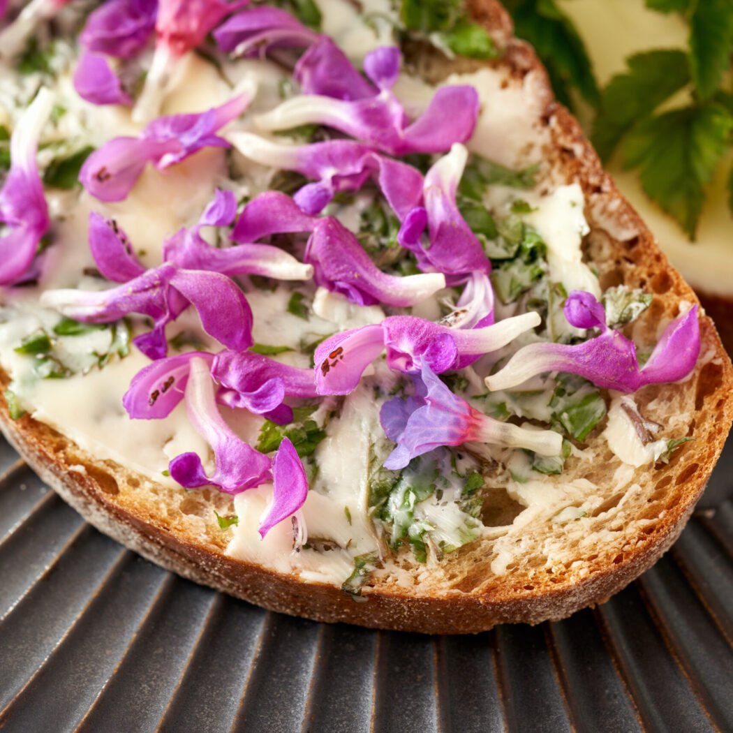 A slice of bread spread with butter mixed with young goutweed leaves, topped with purple dead-nettle and lungwort flowers